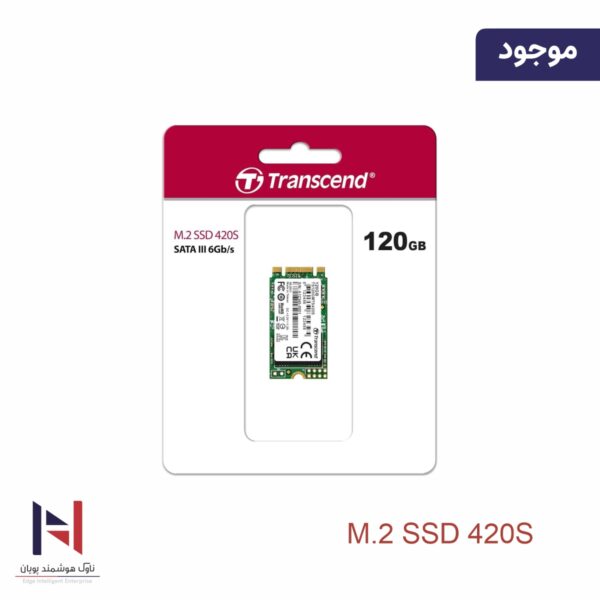 M.2 SSD 420S